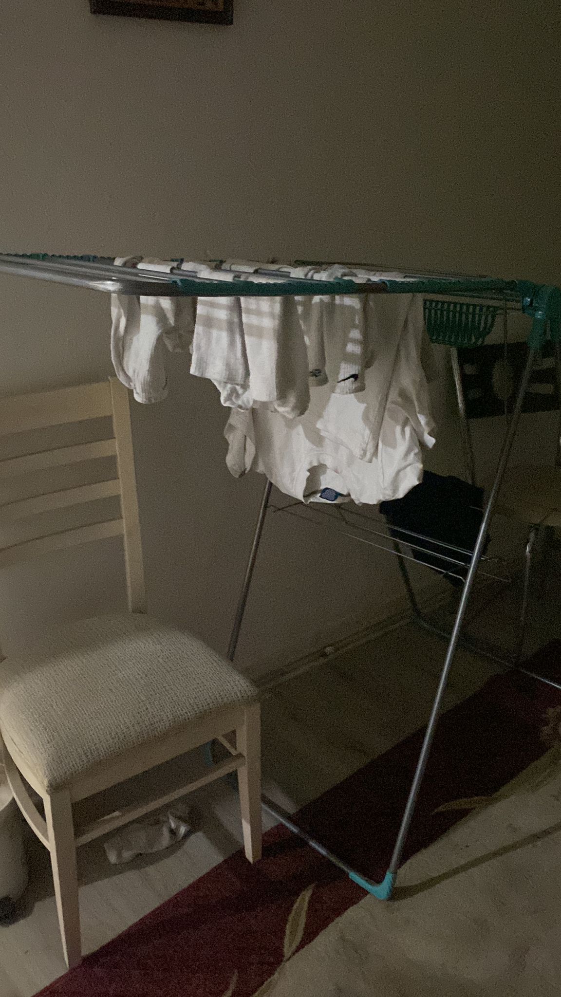 Cloth dryer
