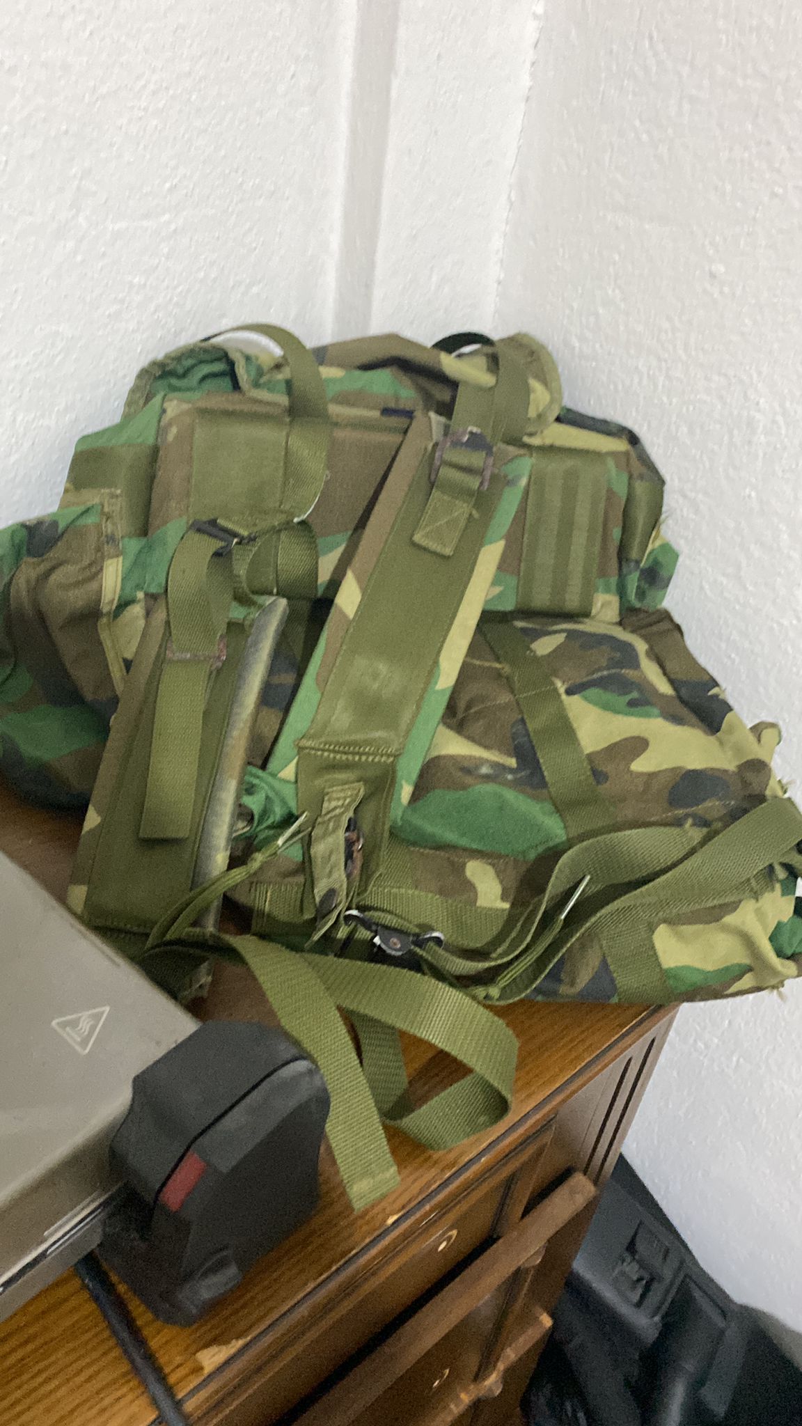 Back bag
